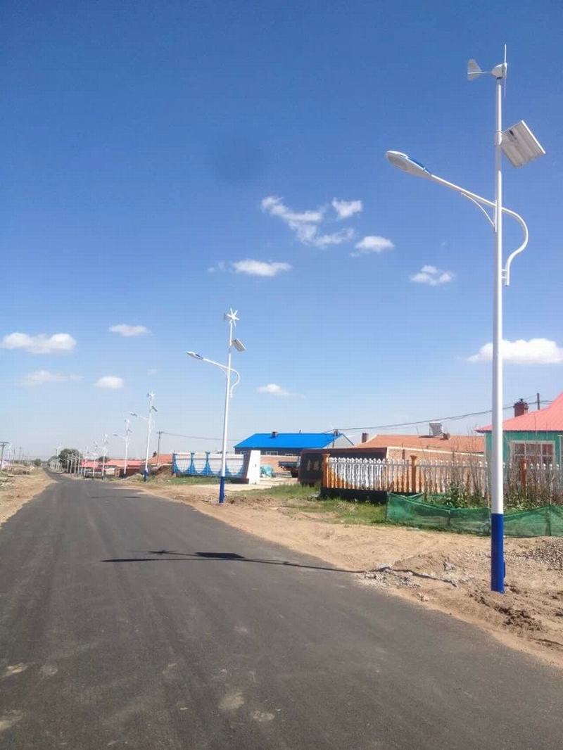 吉林通榆縣風光互補太陽能路燈工程案例
